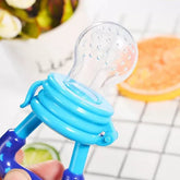 Fruit Pacifier